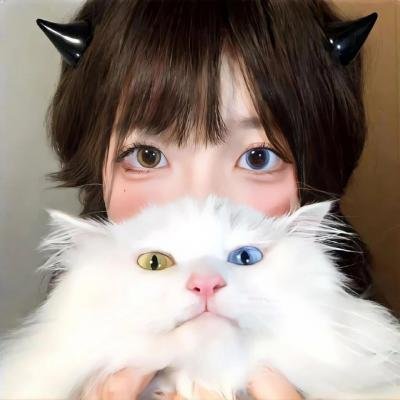 梦幻成真