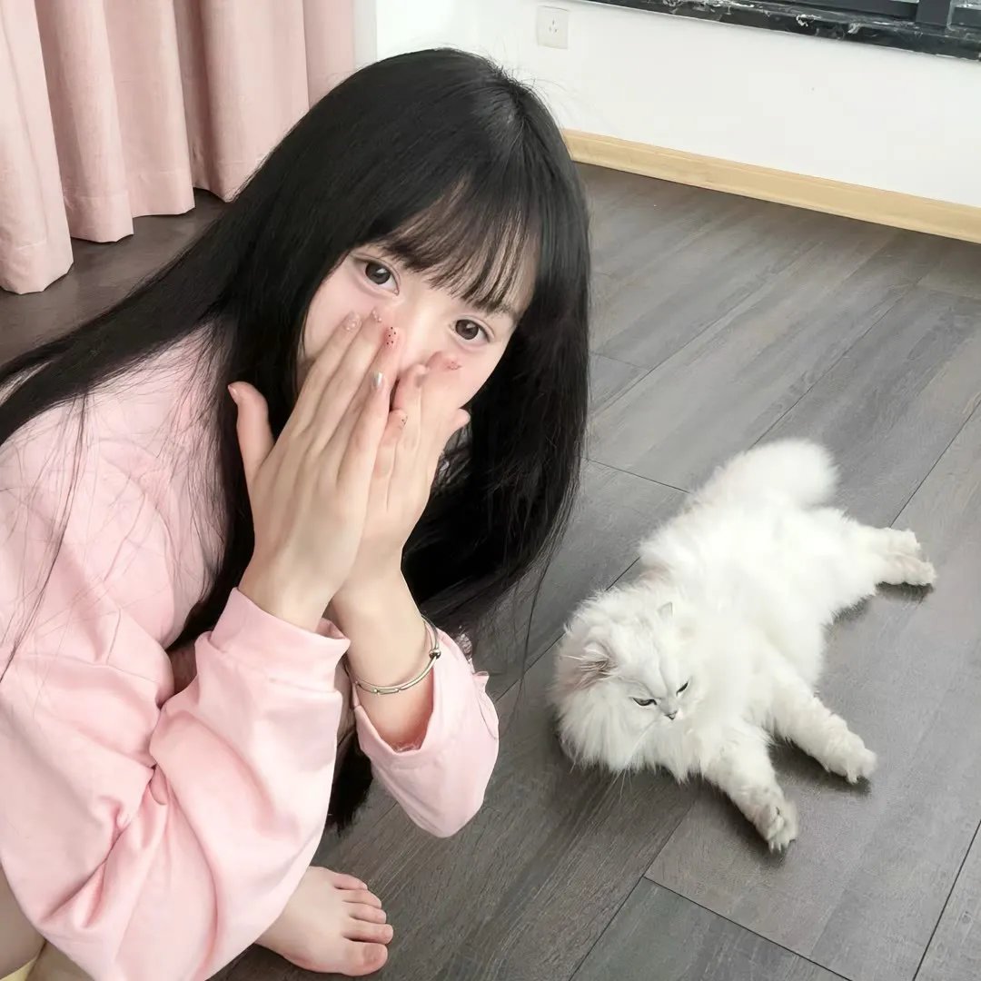 动作犯罪